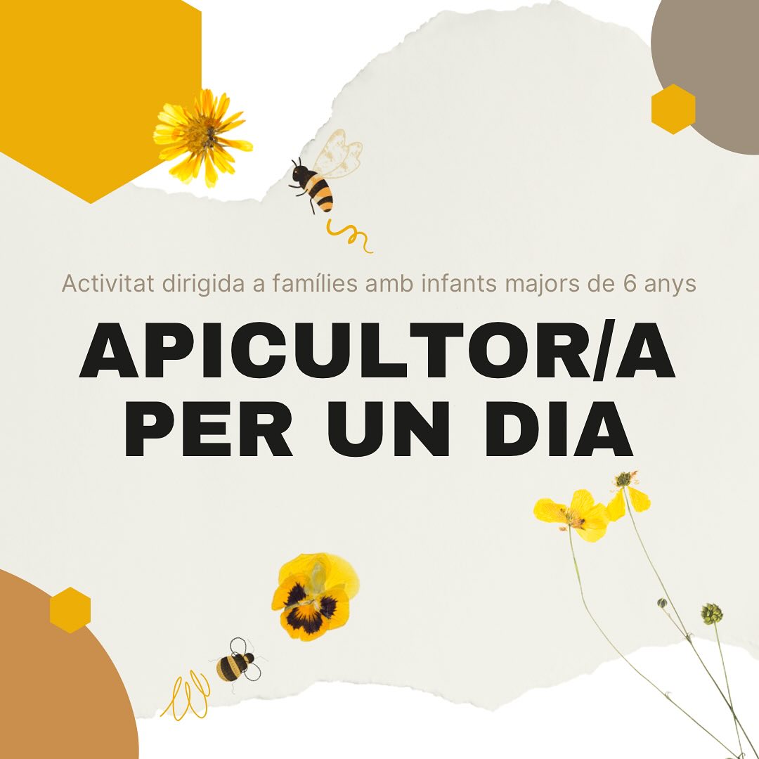 Apicultor/a per un dia!  Descobreix el meravellós món de les abelles!